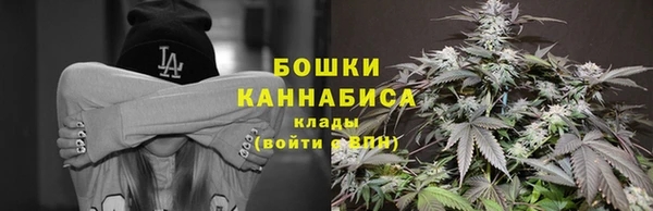 дурь Алзамай